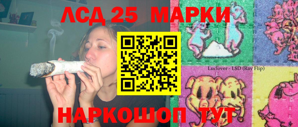 LSD-25 экстази ecstasy  Вход с VPN  LSD-25 экстази  LSD-25 экстази ecstasy  Кольчугино 
