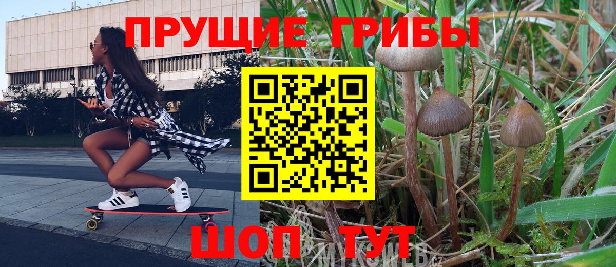 Псилоцибиновые грибы мухоморы Кольчугино