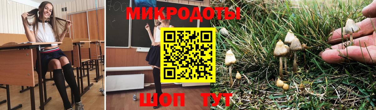 Псилоцибиновые грибы Magic Shrooms  Вход с VPN  где купить наркоту  Псилоцибиновые грибы GOLDEN TEACHER  Кольчугино 